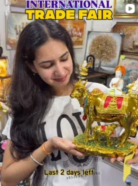 Handcrafted Mayur Urli with Floating Marigolds